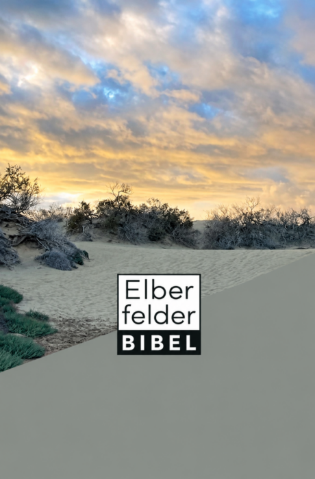 Elberfelder Bibel Taschenausgabe Motiv 'Dünen'